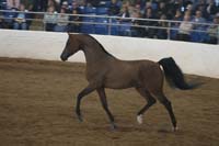 1102SAS_0602