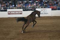 1102SAS_0603