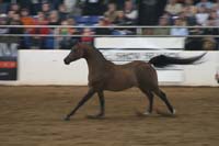 1102SAS_0604