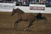 1102SAS_0605