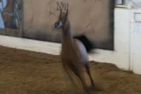 1102SAS_0607
