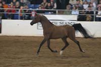 1102SAS_0608