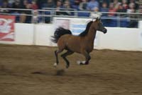1102SAS_0609