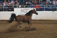 1102SAS_0610