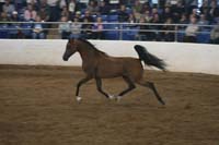 1102SAS_0612