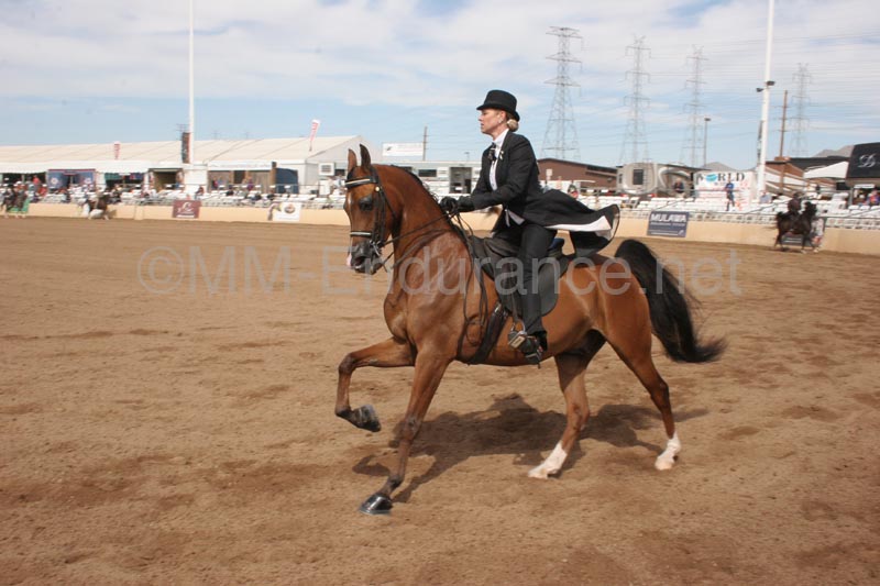 1102SAS_0633D