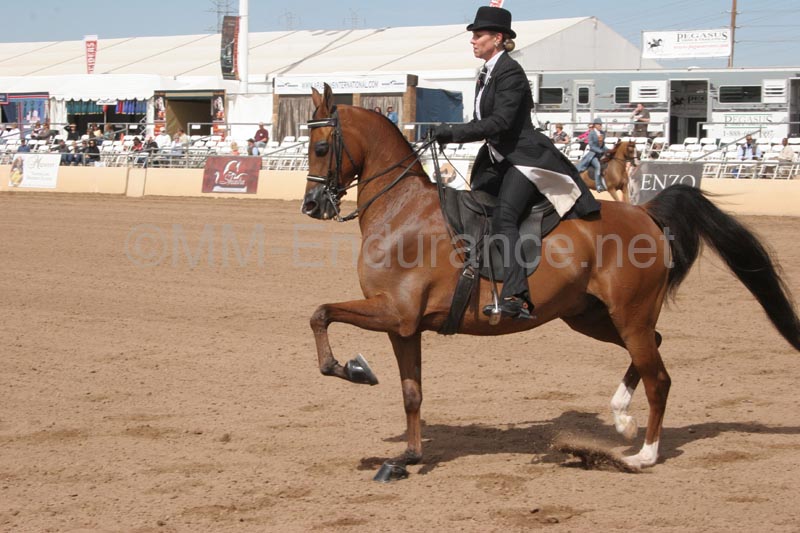 1102SAS_0633G