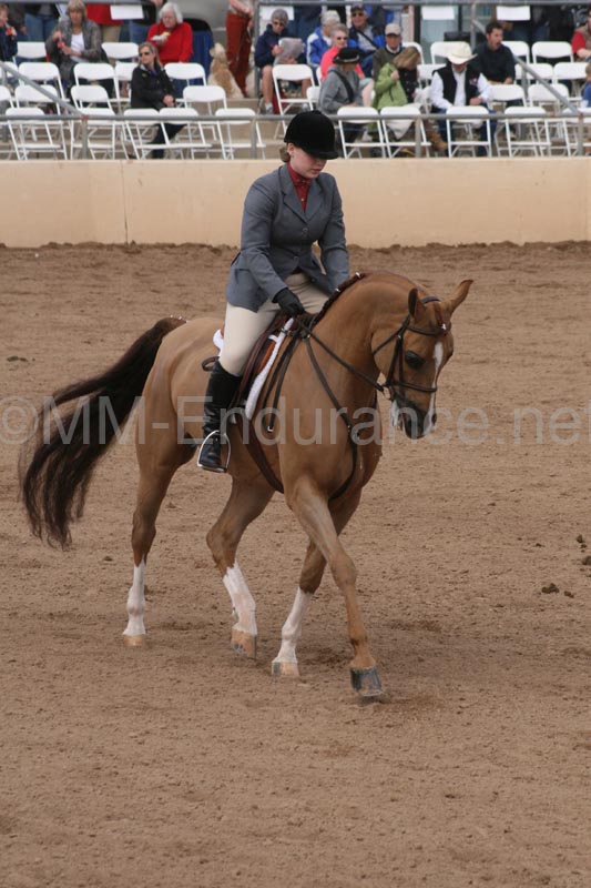 1102SAS_0644