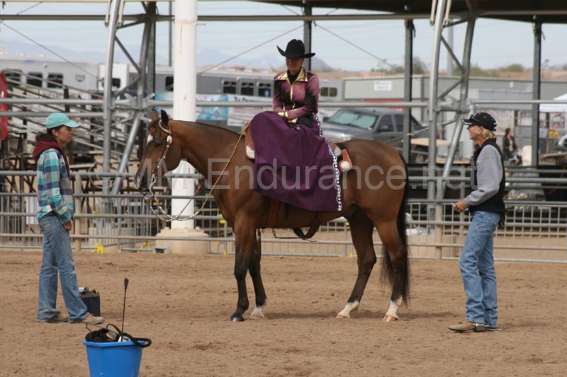 1102SAS_0649