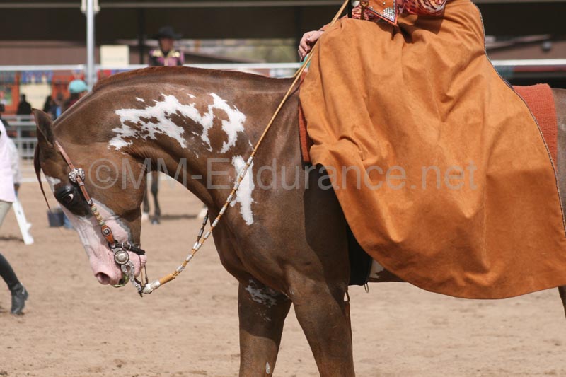 1102SAS_0653