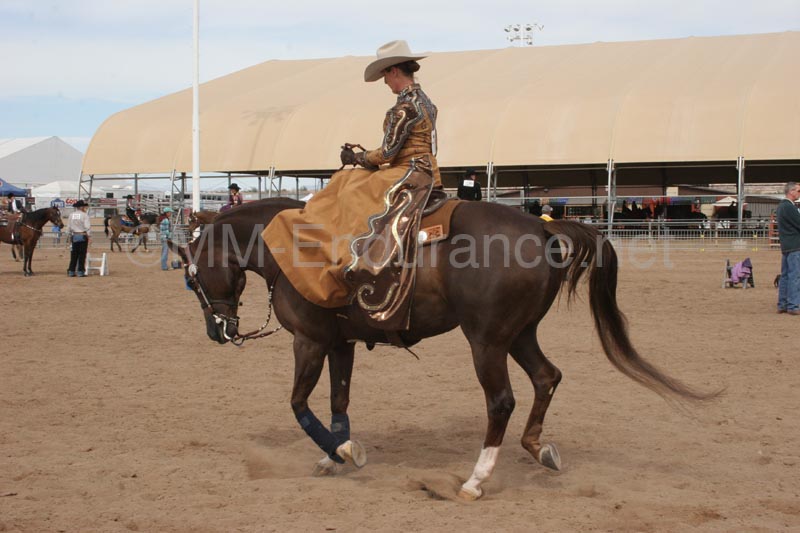 1102SAS_0653A