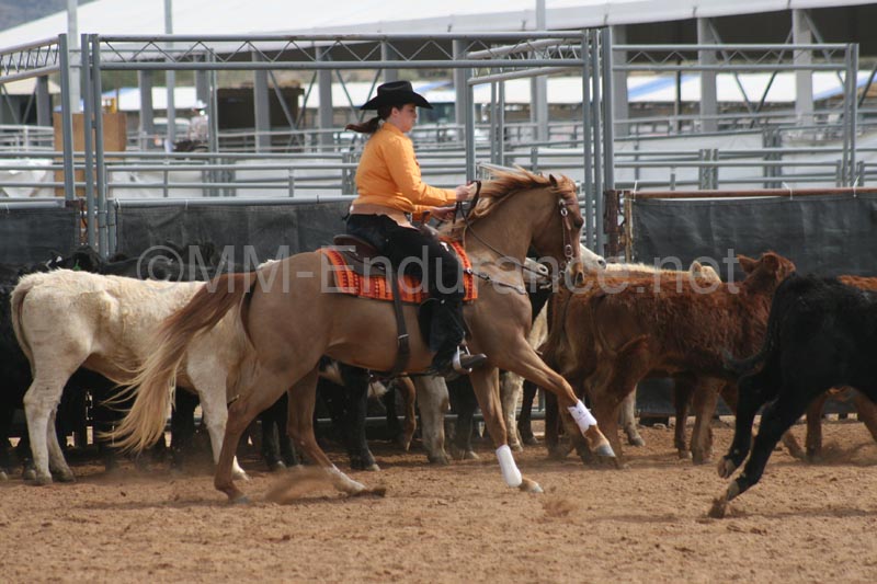 1102SAS_0657