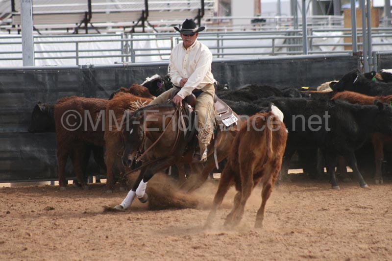 1102SAS_0659