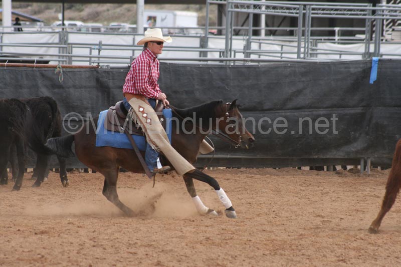 1102SAS_0681