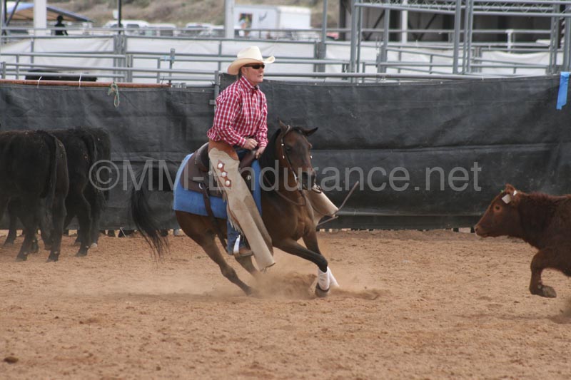 1102SAS_0682