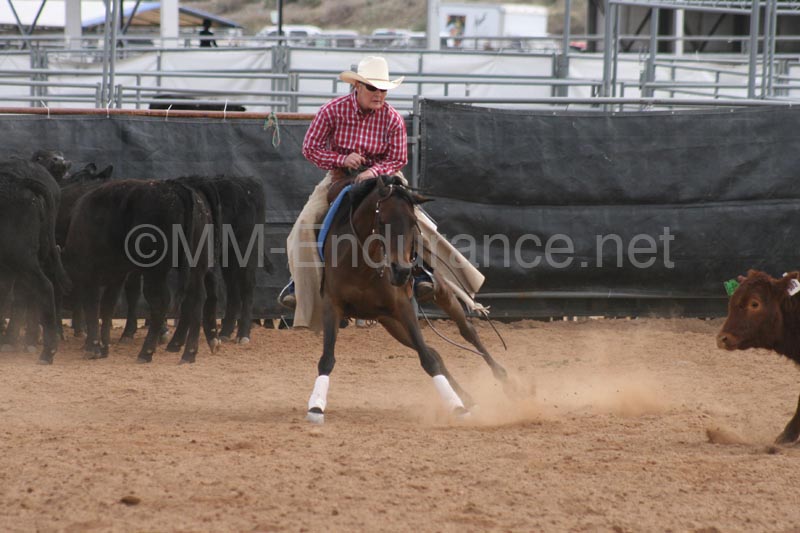 1102SAS_0683
