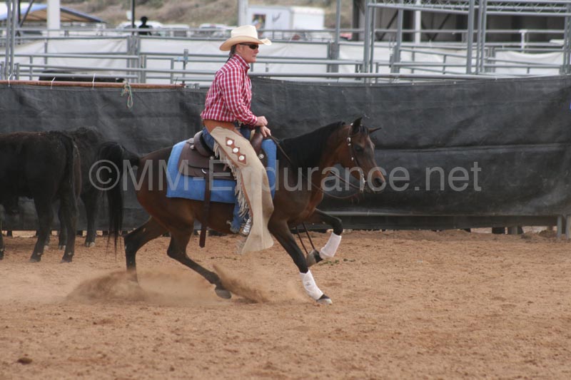 1102SAS_0684