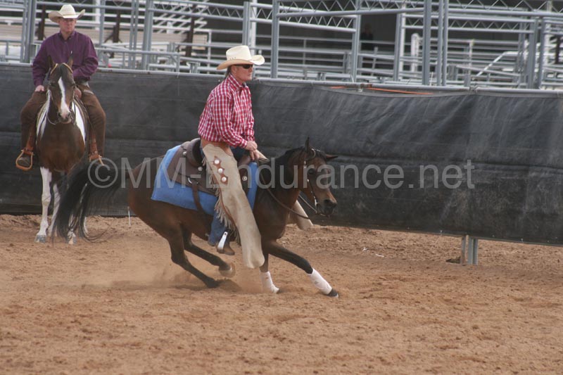 1102SAS_0685
