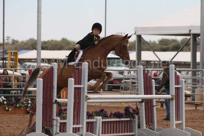 1102SAS_0686