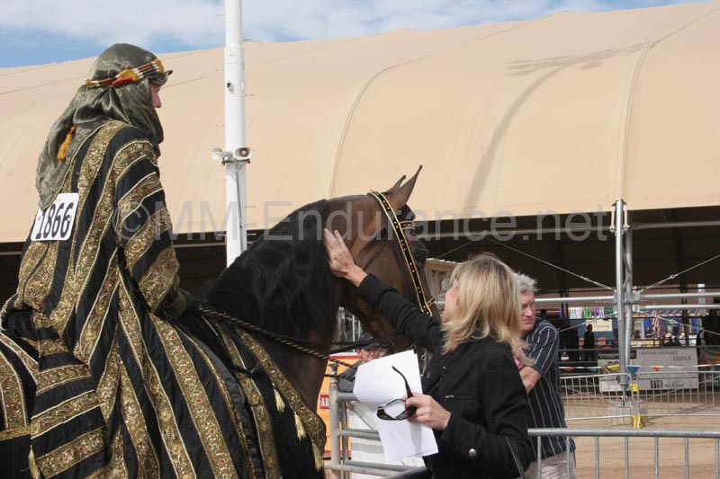 1102SAS_0694B