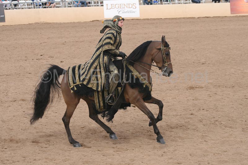 1102SAS_0701