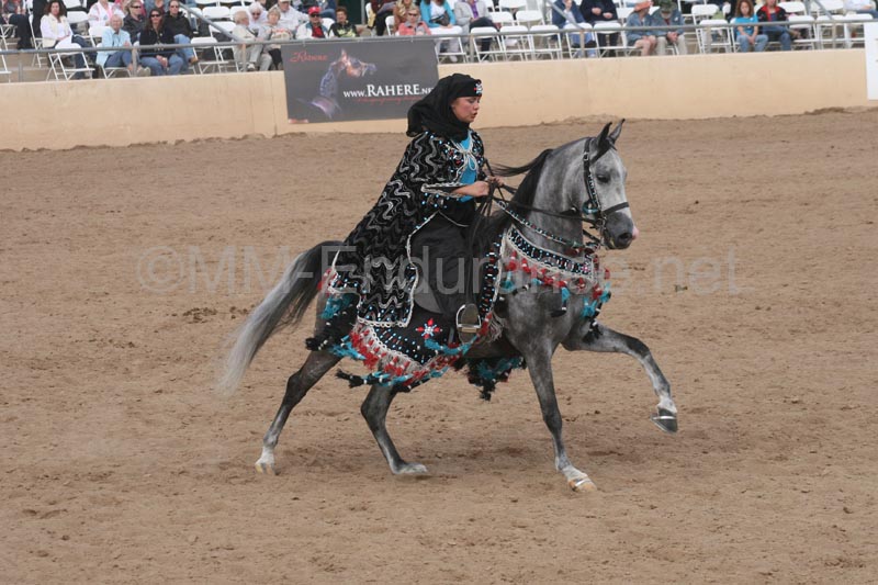 1102SAS_0705