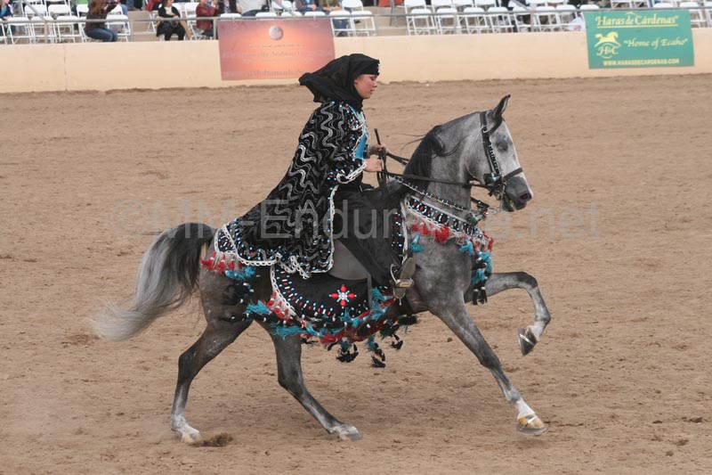 1102SAS_0706