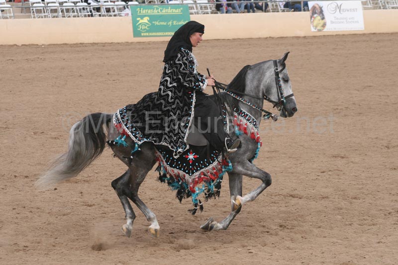 1102SAS_0707