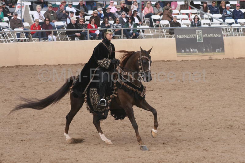 1102SAS_0708