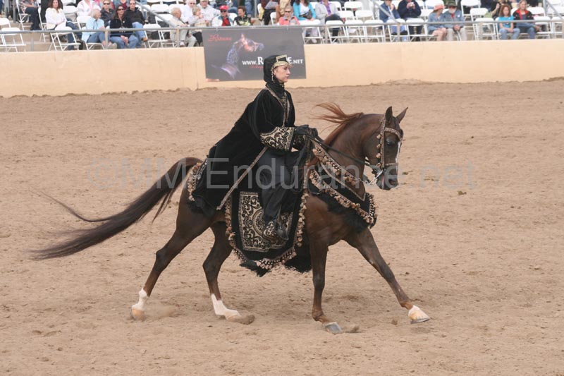1102SAS_0709