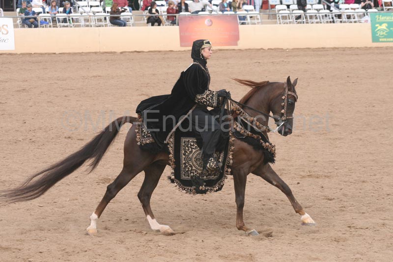 1102SAS_0710