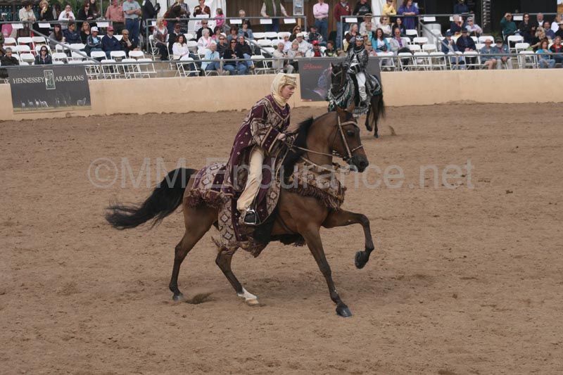 1102SAS_0713