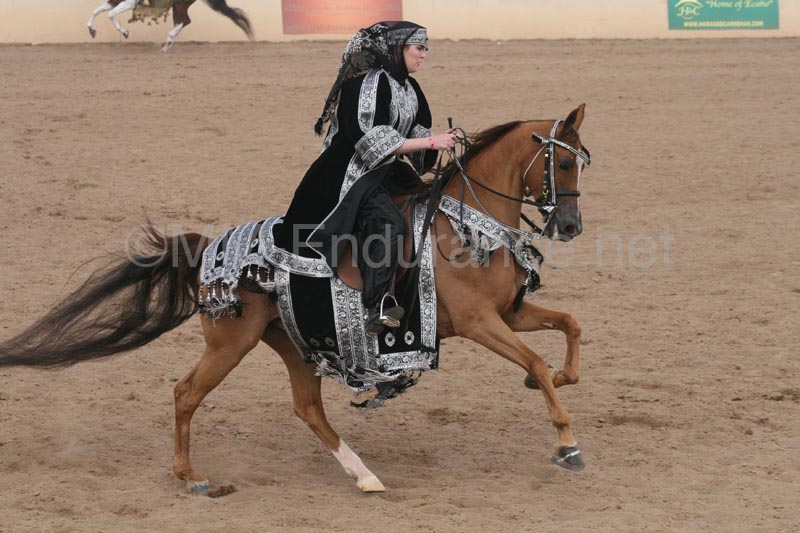 1102SAS_0718