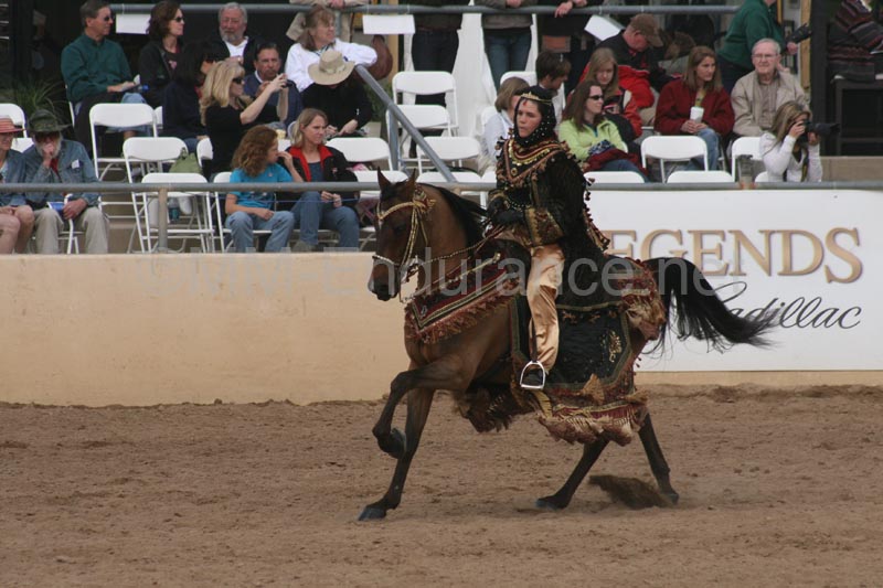 1102SAS_0731