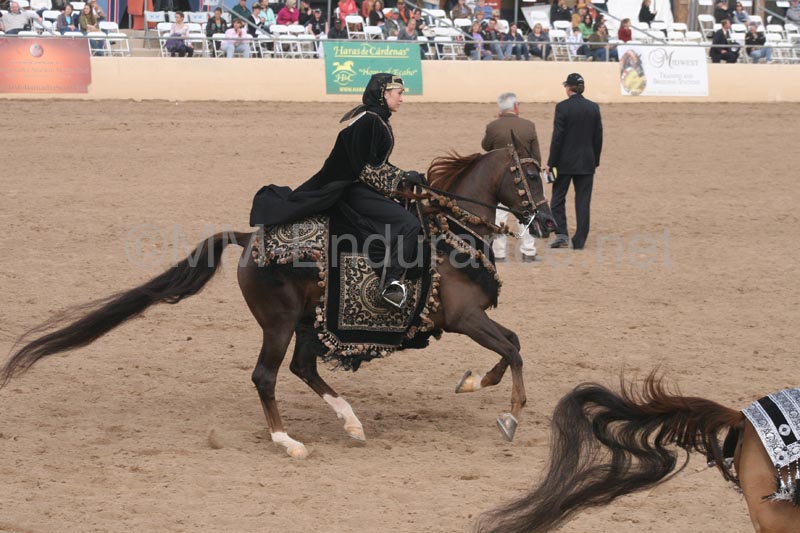 1102SAS_0736
