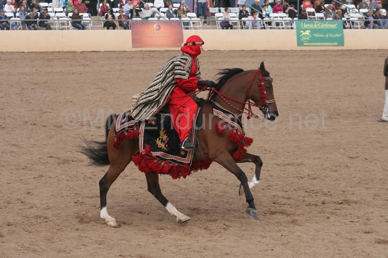 1102SAS_0741