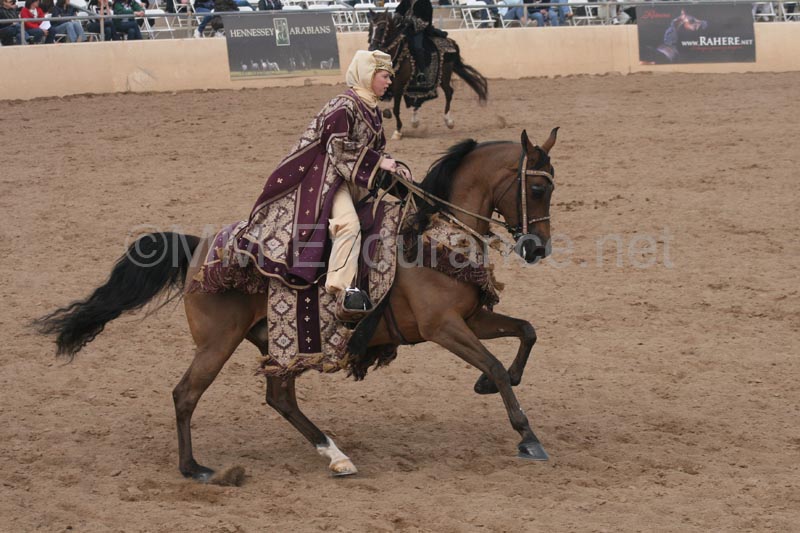 1102SAS_0743