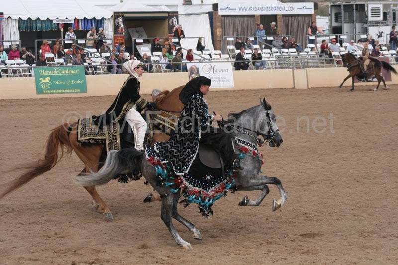 1102SAS_0744