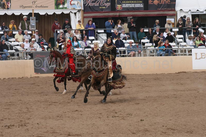 1102SAS_0746