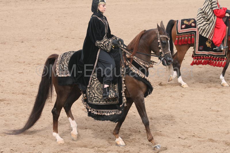 1102SAS_0748