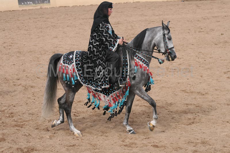 1102SAS_0749