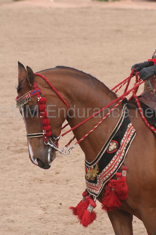 1102SAS_0777