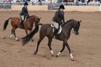 1102SAS_0645