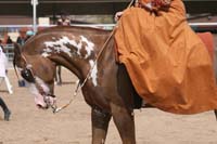 1102SAS_0653