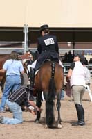 1102SAS_0654