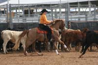 1102SAS_0657