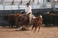 1102SAS_0659