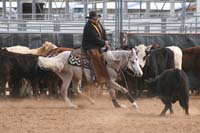 1102SAS_0668