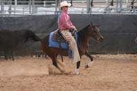 1102SAS_0677