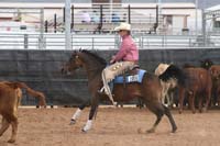1102SAS_0678